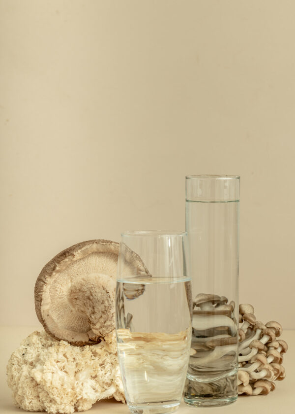 Capsules - Image 3