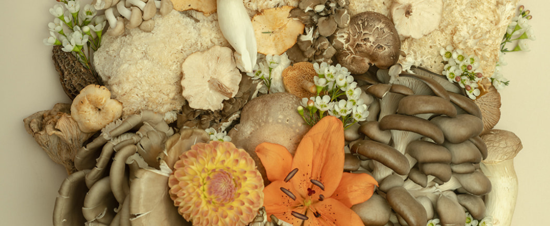 A flat lay image of various mushrooms with flowers interspersed | functional mushrooms vs psychedelic mushrooms, types of functional mushrooms