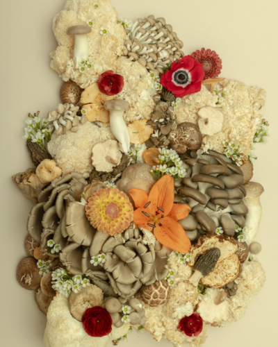 Flat lay composition of assorted mushrooms arranged with bright flowers on a neutral background.
