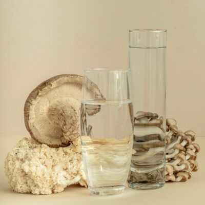 various mushrooms with two glasses of water on a tan background | Functional Mushrooms: First Timer’s Guide to Holistic Health | Sugar Magnolia