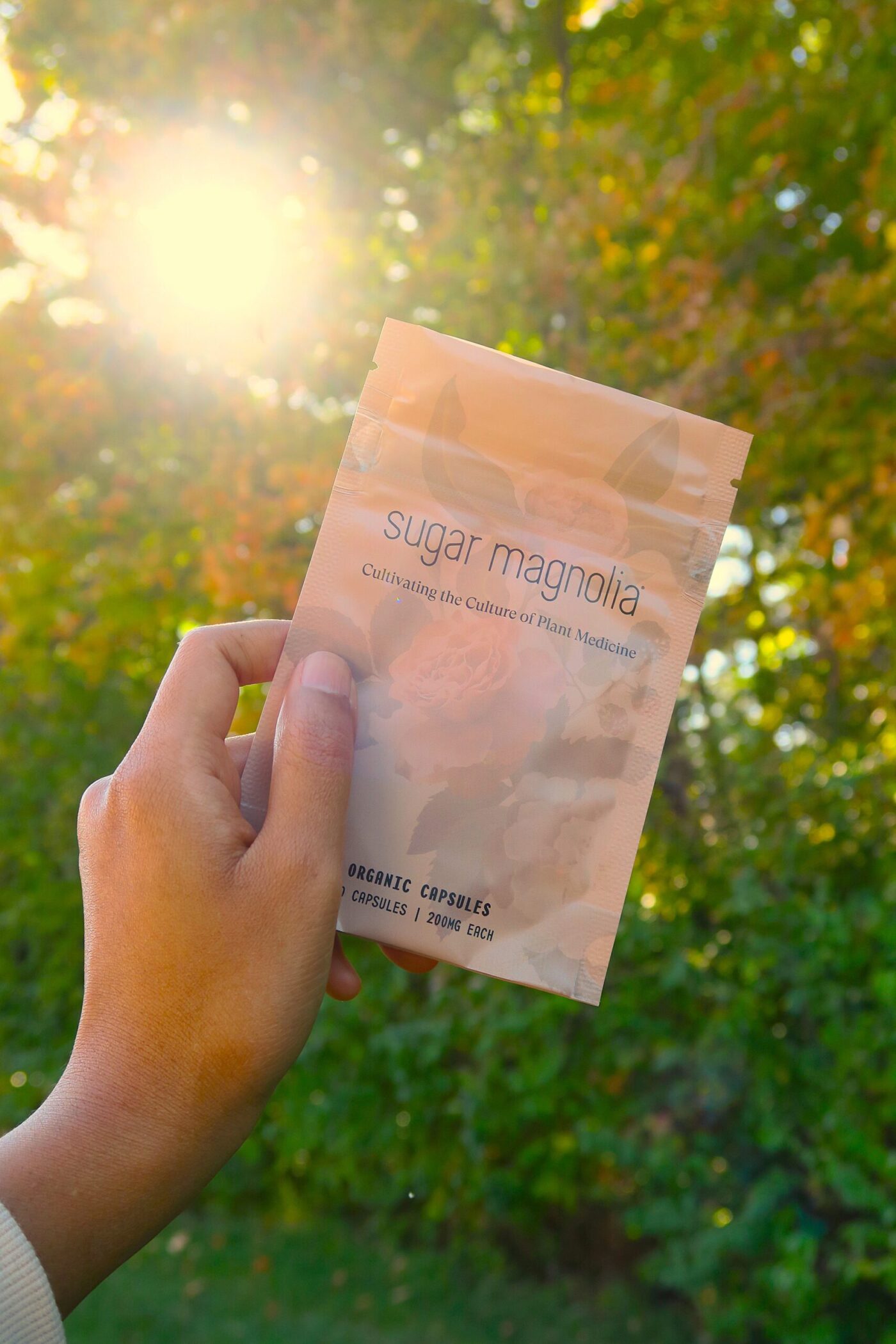 Hand holding a Sugar Magnolia organic capsules pouch with sunlight streaming through trees in the background.